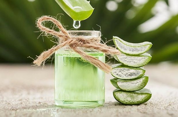 Aloe Vera Is Known For Its Many Benefits