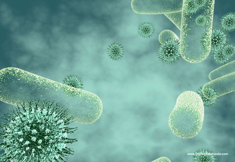 When Flu Or Covid-19 Viruses Kill, They Often Have A Partner - Bacterial Infection