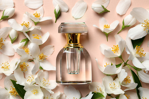 Guide For Perfume You Need for Picking the Perfect Perfume And Its Benefit